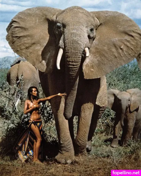 Iman Abdulmajid OnlyFans Thumbnail #D67xFJLo73