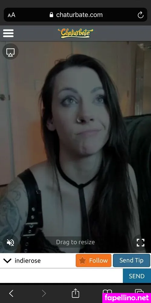 indieroselive Nude Leaked OnlyFans Photo #qCbxRV9Po5