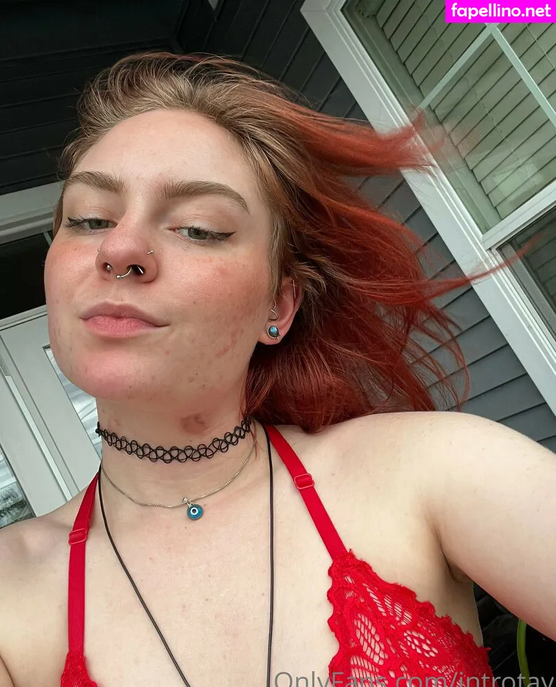 introducing.taylor, introtay Nude Leaked OnlyFans Photo #ds28TIvrjU