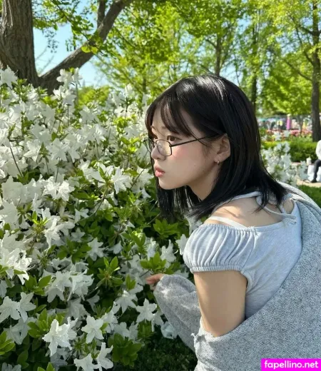 Iroiro 0000 Main Profile Photo