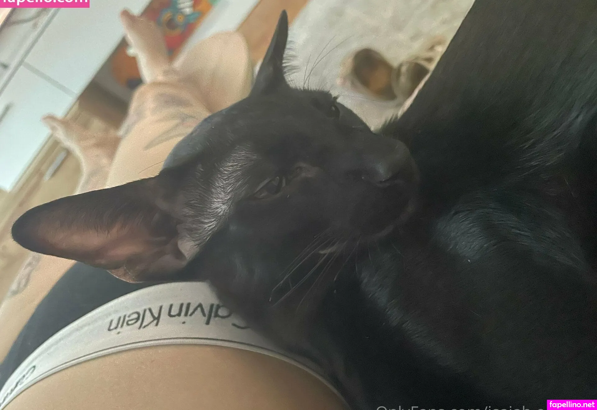 isaiah.okeetee Nude Leaked OnlyFans Photo #txStL4fESG