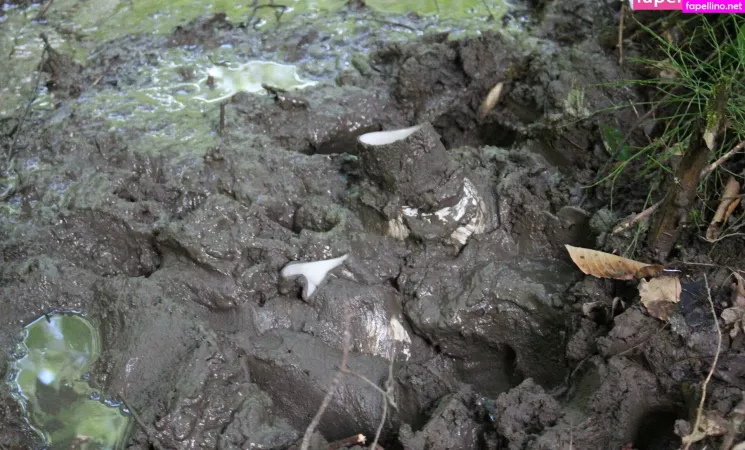 Islandermud OnlyFans Thumbnail #LG9fWiOGGR