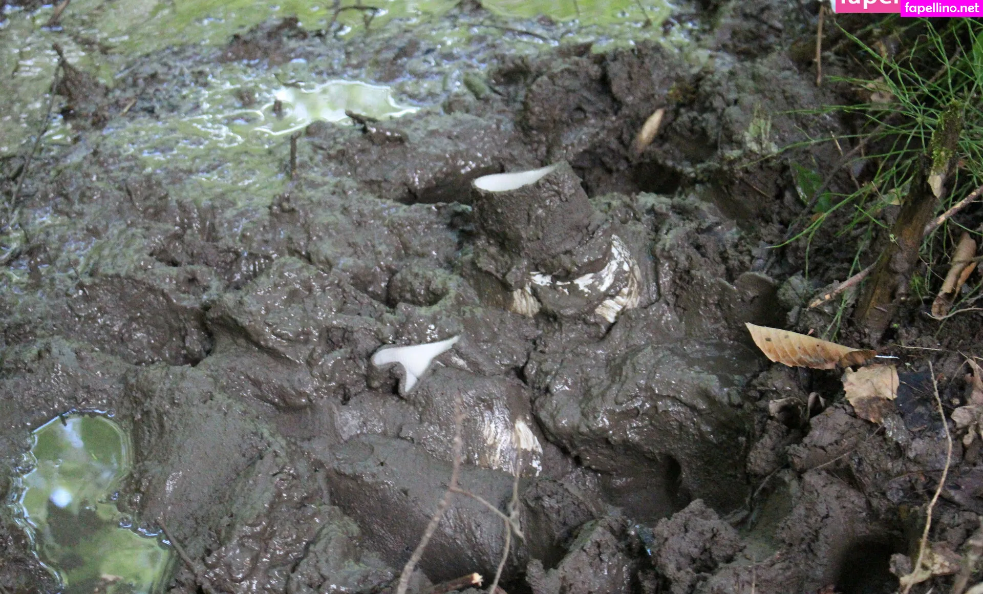 islandermud Nude Leaked OnlyFans Photo #LG9fWiOGGR