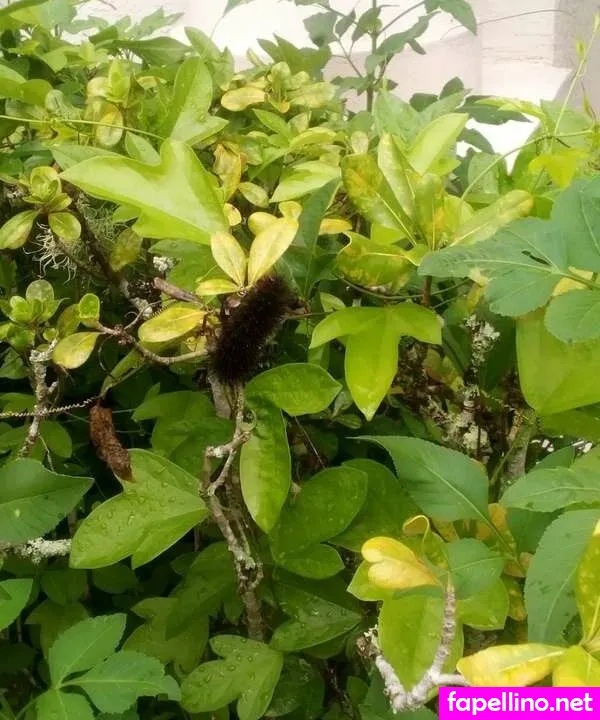 reels, u325121454 Nude Leaked OnlyFans Photo #zRzNPI3HkM