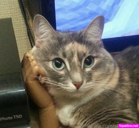 Itshellotittyfree OnlyFans Thumbnail #AT0m4oi5wt