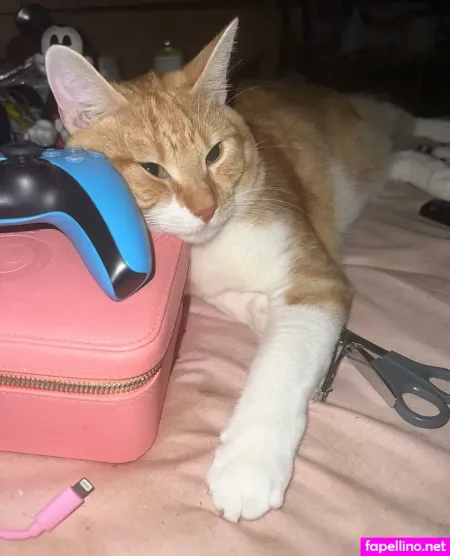 Ittybittymelly OnlyFans Thumbnail #VL3lCwiVO4