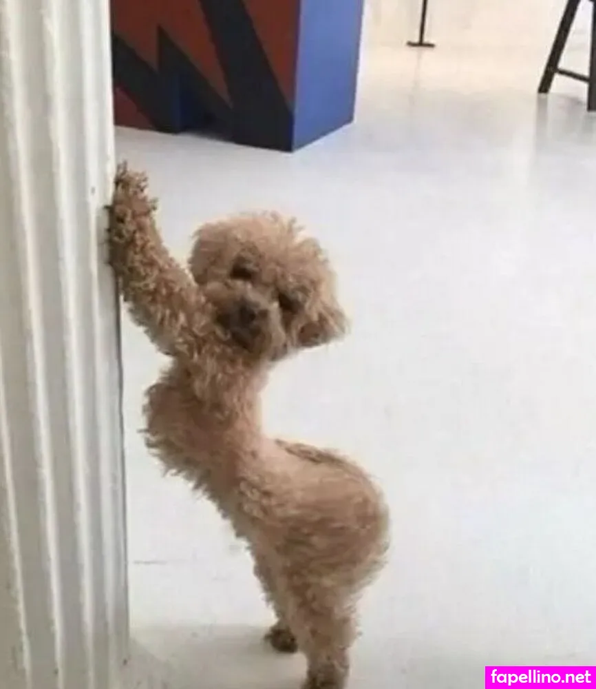 itsivonamarie, ivonamarie Nude Leaked OnlyFans Photo #7fMA0CE3N5