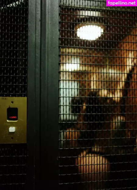 Ivy Lebelle OnlyFans Thumbnail #6unS3PJeBF