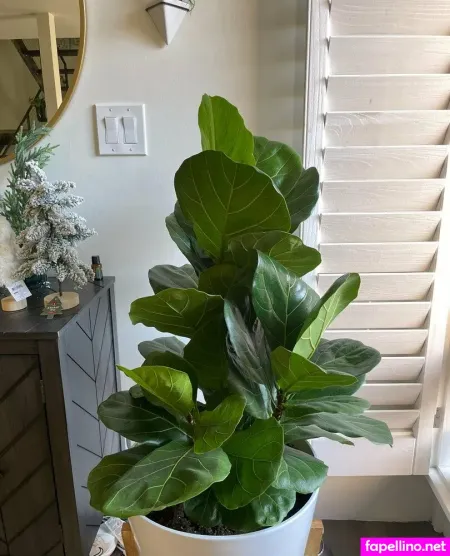 Izzybutt OnlyFans Thumbnail #DPVvjlVqzA