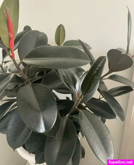 Izzybutt OnlyFans Thumbnail #YdEAGUeMTe