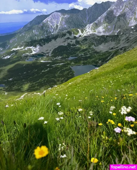 Jaane 18 OnlyFans Thumbnail #GUkBVbOa4l