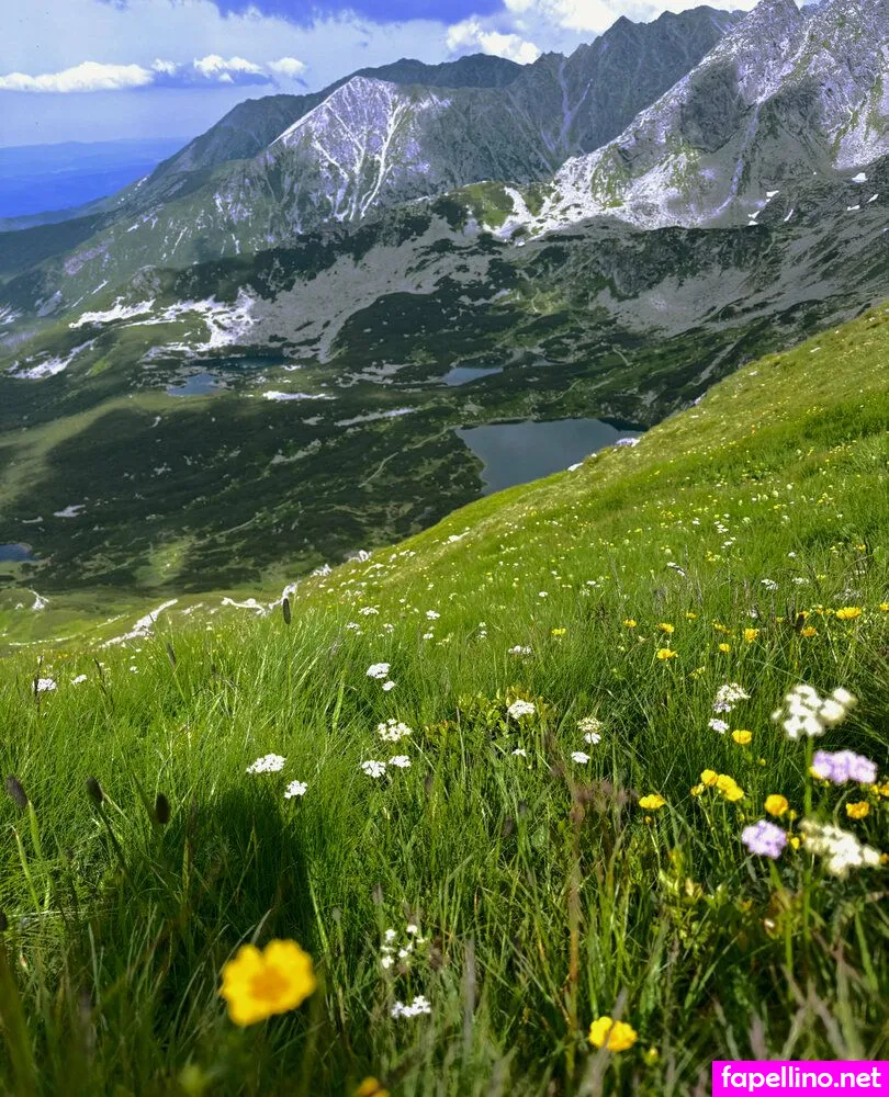 jaane_18 Nude Leaked OnlyFans Photo #GUkBVbOa4l