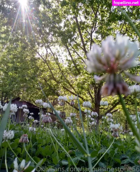 Jacquelinestone56 OnlyFans Thumbnail #VjmrqMGLRa