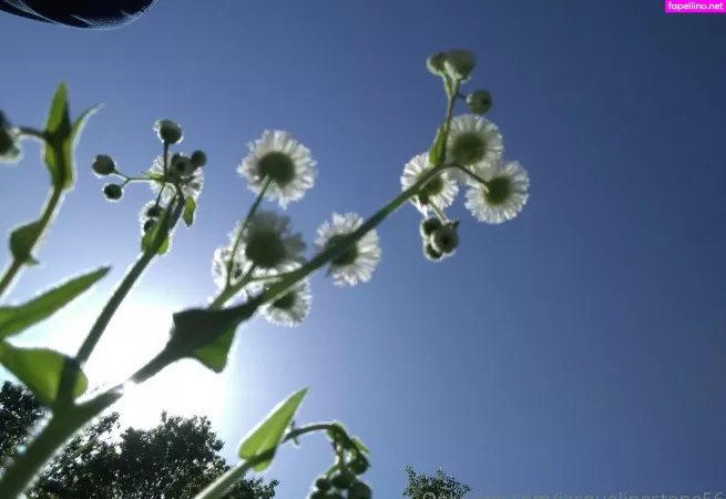 Jacquelinestone56 OnlyFans Thumbnail #wqFPVXOQep