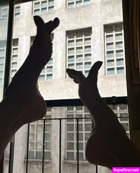 Jadeeefoxxx OnlyFans Thumbnail #ZfsPnUA1DH