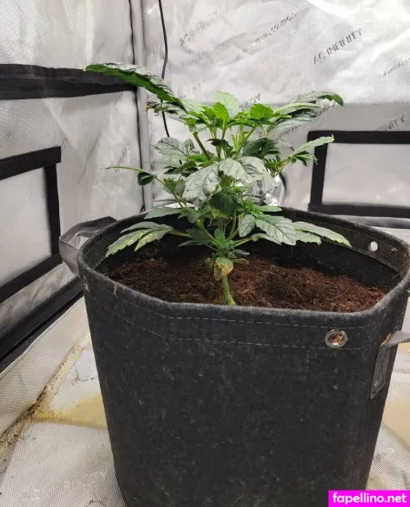 James19822 Main Profile Photo