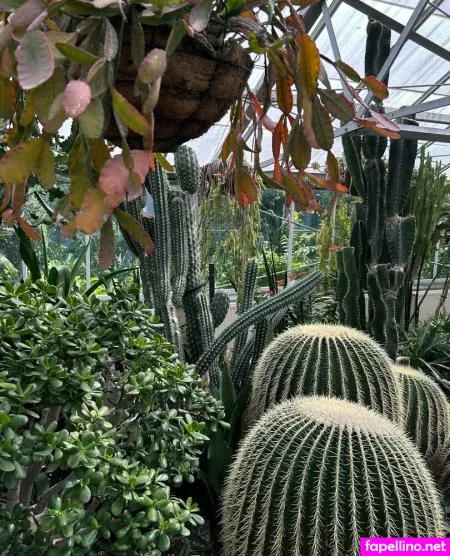 Janabubu Free OnlyFans Thumbnail #XWdZ9qf0v4