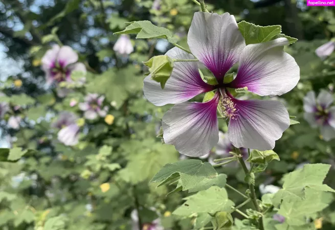 Janeray OnlyFans Thumbnail #VaPNaZb53V