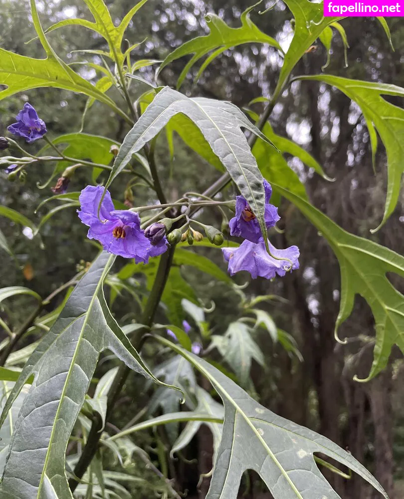 janey_pooh90, janey_uncovered Nude Leaked OnlyFans Photo #2fAeMNV9Qg