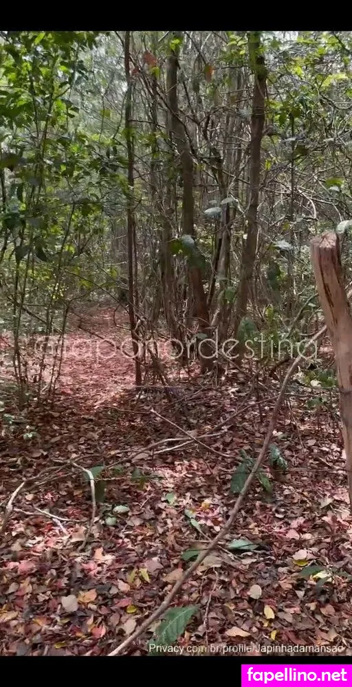 japa_alee Nude Leaked OnlyFans Photo #BTK8YmjaBg