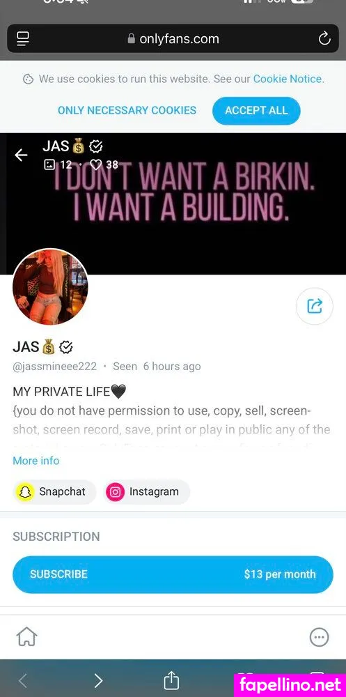 jassmineee222 Nude Leaked OnlyFans Photo #fSQhSLTv4g