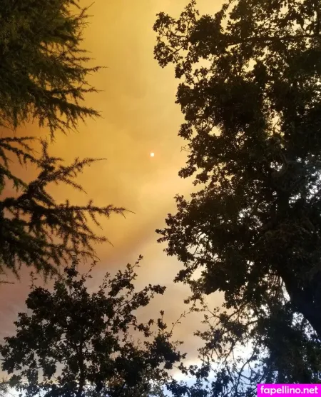 Jaxacer OnlyFans Thumbnail #ArpyoHVerT