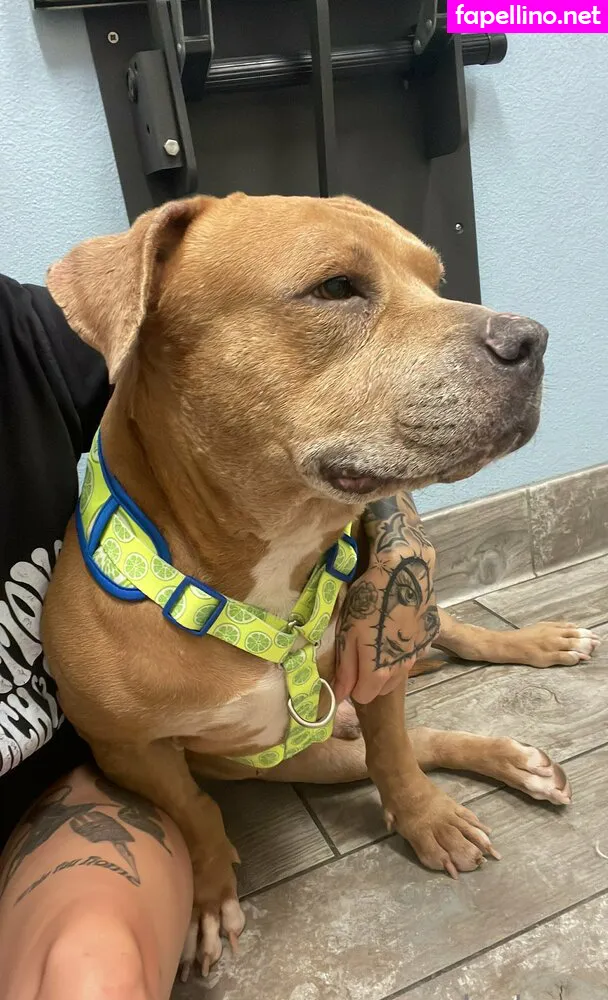 jaylynn, jaylynn.sg Nude Leaked OnlyFans Photo #K3qoBlCiYr