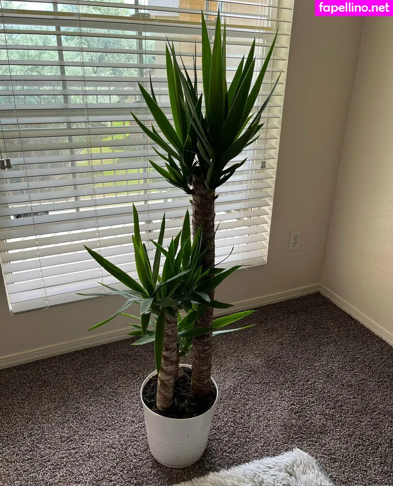 jazzy3d, jazzy3ds Nude Leaked OnlyFans Photo #DVVb64hmnA