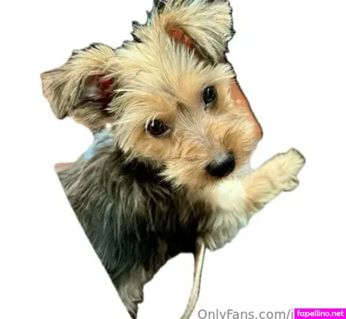 Jdch4l3 OnlyFans Thumbnail #nijOVPRCFL