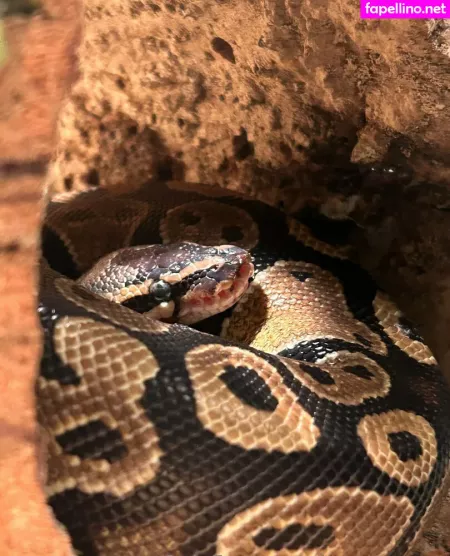 Jeannnnnnn OnlyFans Thumbnail #LWCQdzCbLX