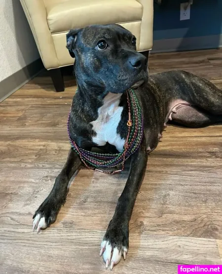 Jegga13 OnlyFans Thumbnail #878CP139gR