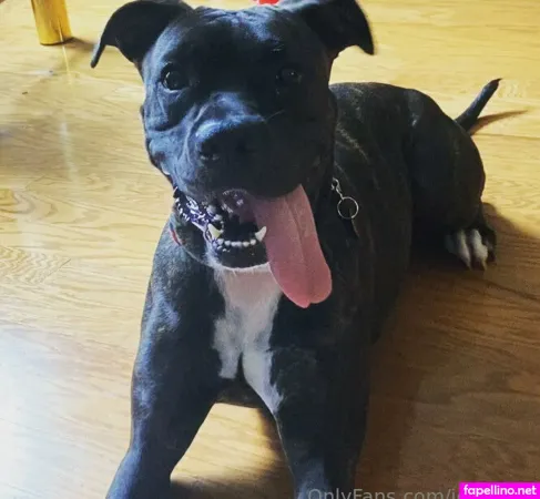 Jegga13 OnlyFans Thumbnail #RGYTfX7fRA