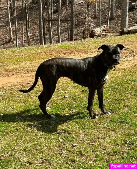 Jegga13 OnlyFans Thumbnail #eftyrCbYXT