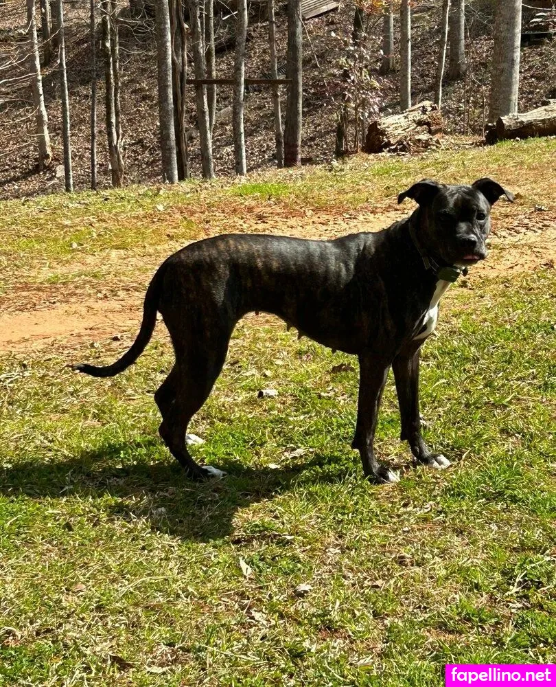 jegga13 Nude Leaked OnlyFans Photo #eftyrCbYXT