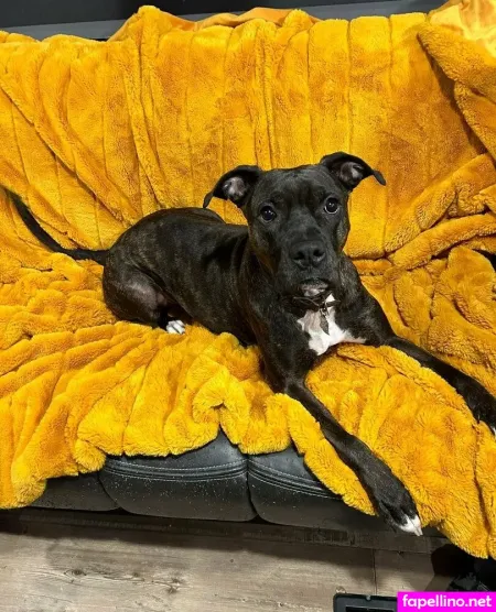 Jegga13 OnlyFans Thumbnail #njTyKwhLQG