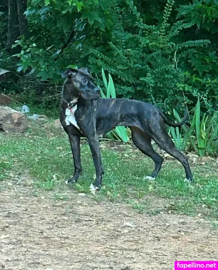 Jegga13 OnlyFans Thumbnail #qRDJrm2sLH