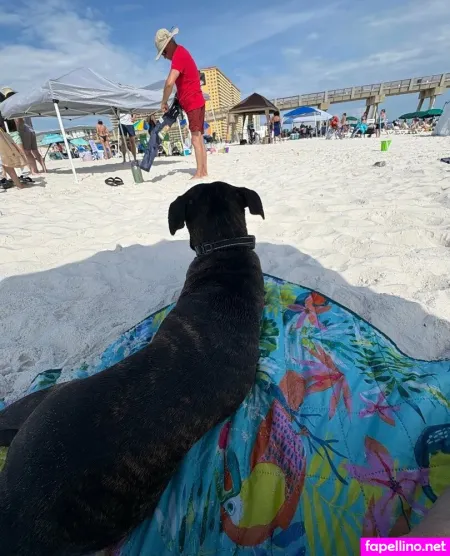 Jegga13 OnlyFans Thumbnail #wK7Q5bK1El