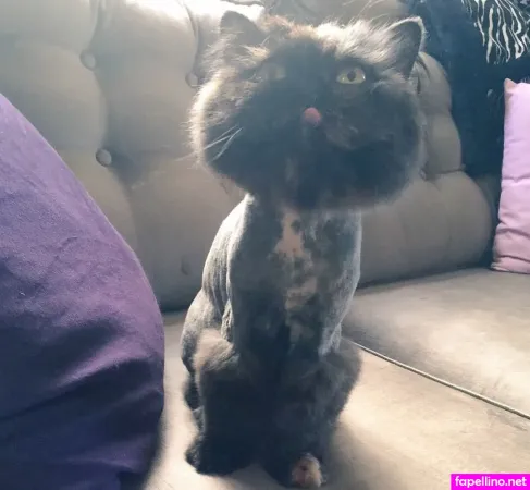 Jenna Valentine 2 OnlyFans Thumbnail #h23iftf0p4