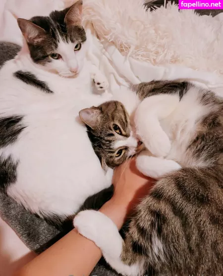 Jennybellyfree OnlyFans Thumbnail #aHB9UzpmW1