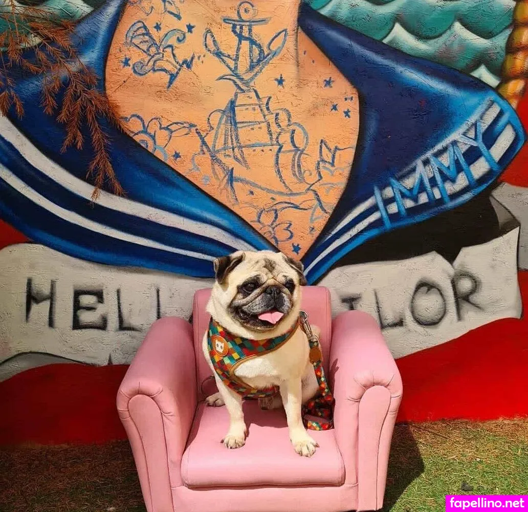 https:, jen_mckenzie6, jennynextdoorgirl Nude Leaked OnlyFans Photo #T5muIfF6yh