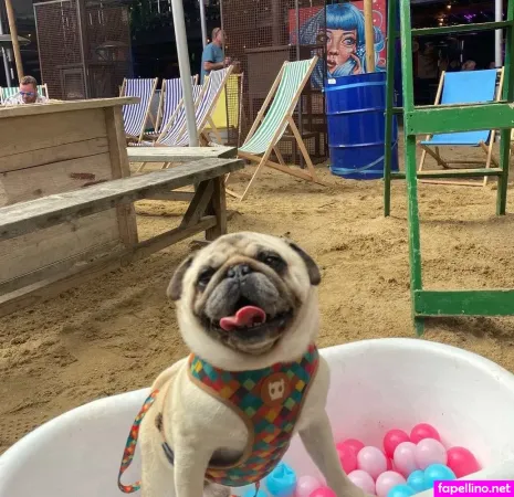 Jennynextdoorgirl OnlyFans Thumbnail #iyHPHHviTJ