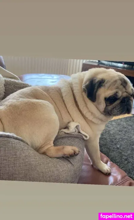 Jennynextdoorgirl OnlyFans Thumbnail #ySEm3WGt5b