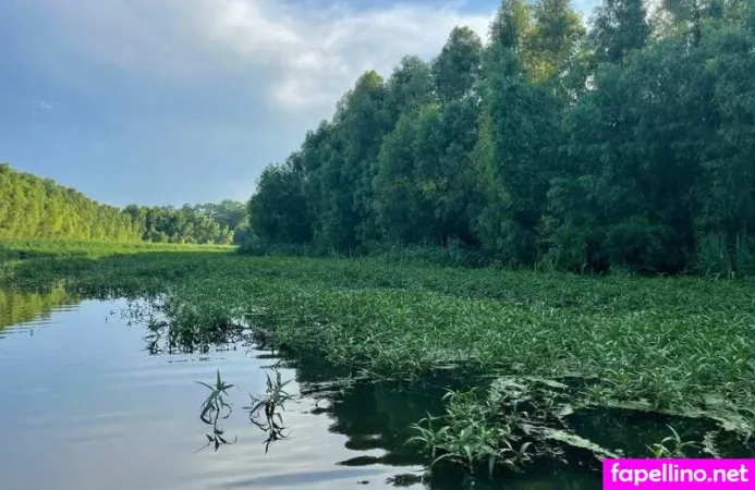 Jess Max OnlyFans Thumbnail #MzqJuHg66o