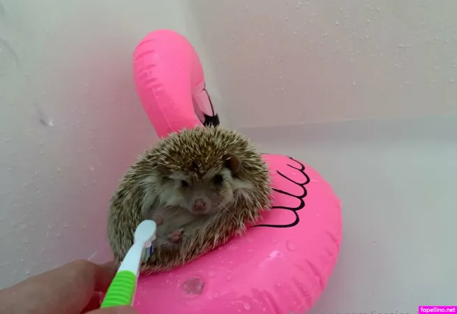 Jessica Beelove OnlyFans Thumbnail #fDmTMJjC2x