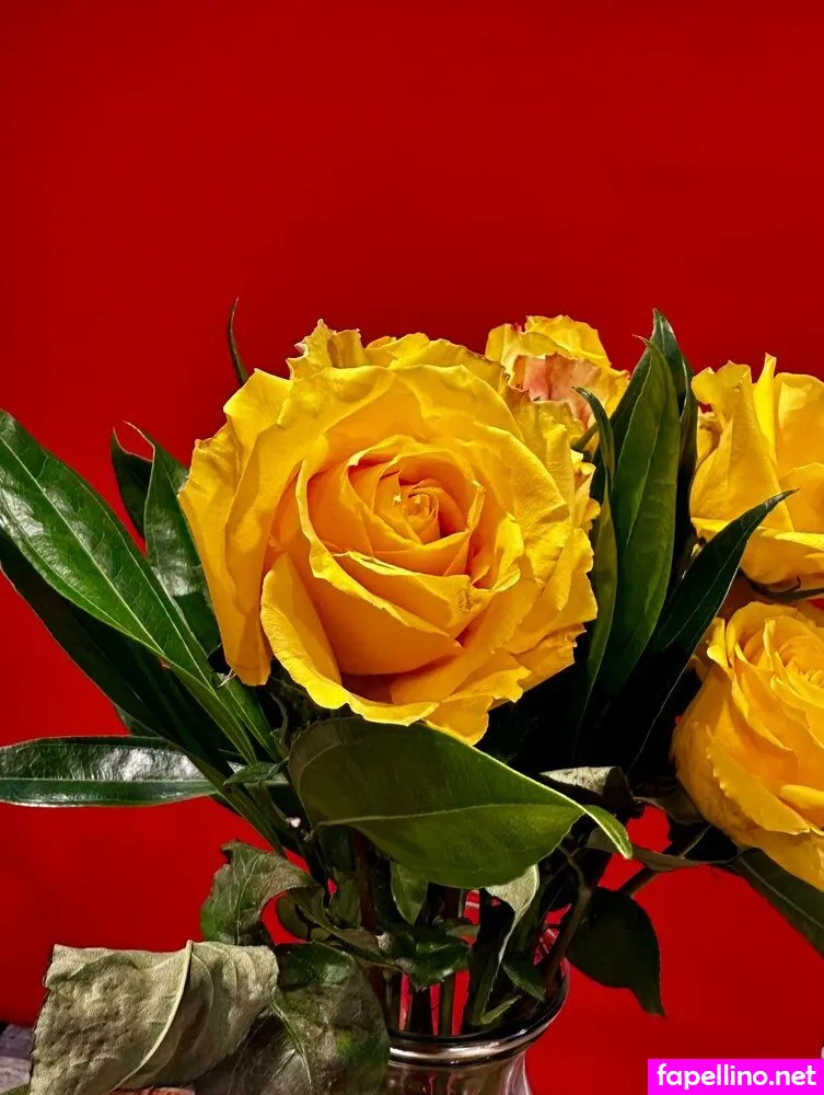 jesken12, jessicakent Nude Leaked OnlyFans Photo #07sJJ8JjjS