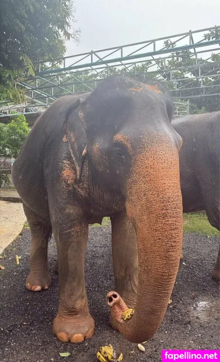 Jessieeex OnlyFans Thumbnail #bLp7ITmCLH