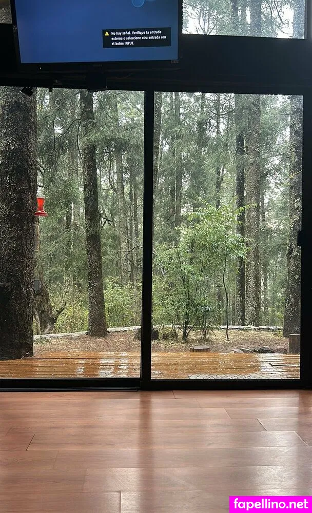 jim.morrison420, jimwmorrison Nude Leaked OnlyFans Photo #23zV6DkV7n