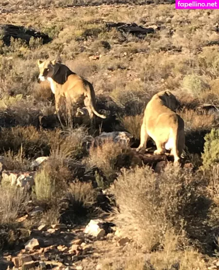 Jimnewmannyc OnlyFans Thumbnail #2TfTOrCNhs