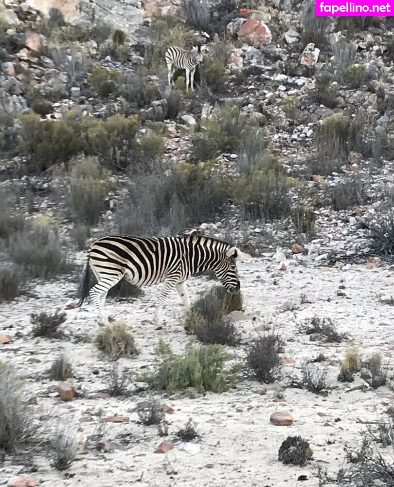 jimnewmannyc Nude Leaked OnlyFans Photo #F685Yu1cUx