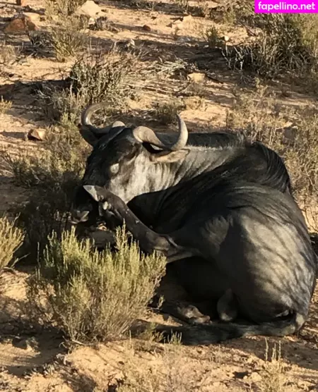 Jimnewmannyc OnlyFans Thumbnail #HETjS5Zlt0